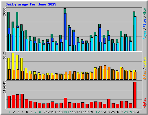 Daily usage for June 2025