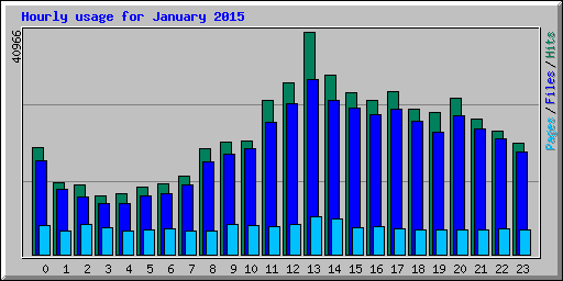 Hourly usage for January 2015