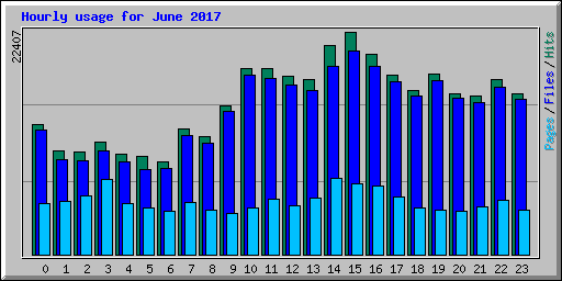 Hourly usage for June 2017