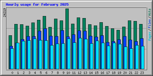 Hourly usage for February 2025