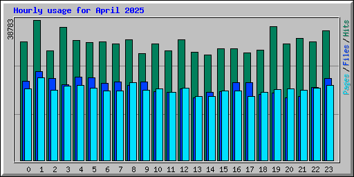 Hourly usage for April 2025
