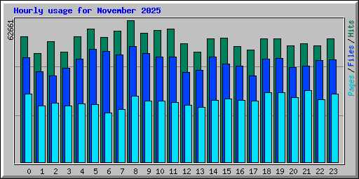 Hourly usage for November 2025