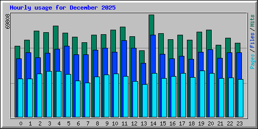 Hourly usage for December 2025