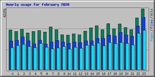 Hourly usage for February 2026